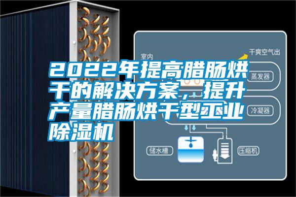 2022年提高臘腸烘干的解決方案，提升產量臘腸烘干型工業除濕機