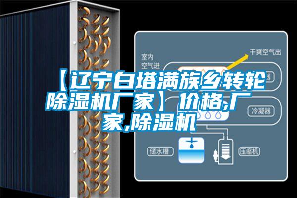 【遼寧白塔滿族鄉轉輪除濕機廠家】價格,廠家,除濕機