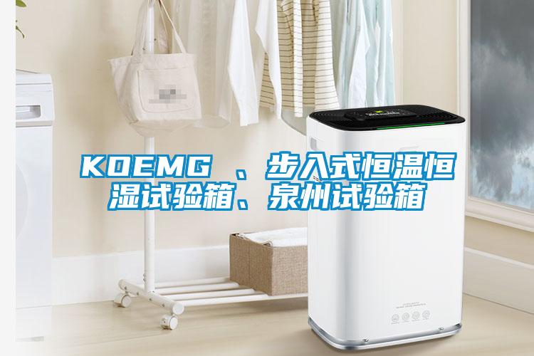 KOEMG 、步入式恒溫恒濕試驗(yàn)箱、泉州試驗(yàn)箱