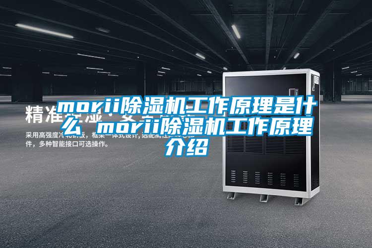 morii除濕機工作原理是什么 morii除濕機工作原理介紹