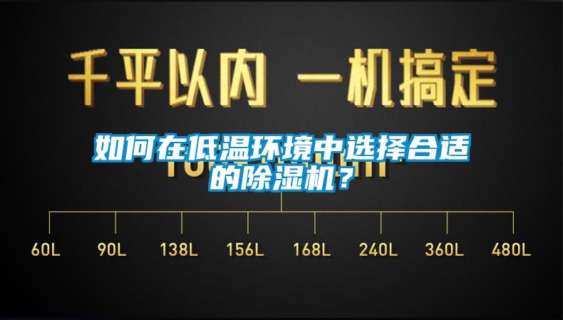 如何在低溫環境中選擇合適的除濕機？