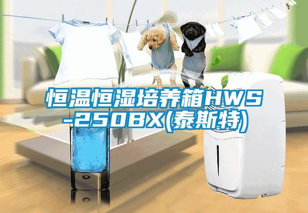 恒溫恒濕培養箱HWS-250BX(泰斯特)