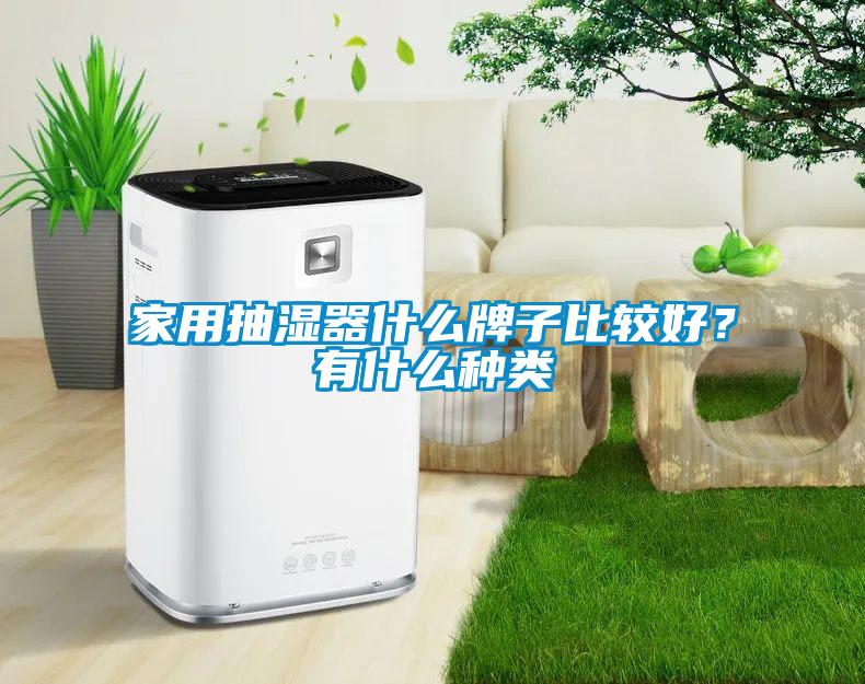 家用抽濕器什么牌子比較好？有什么種類(lèi)