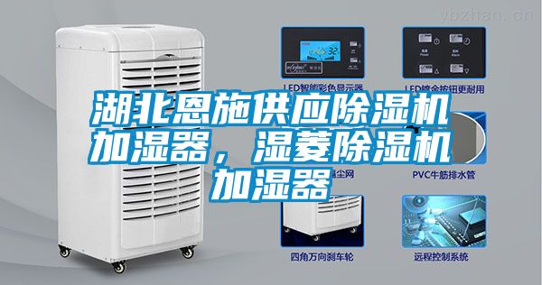 湖北恩施供應除濕機加濕器，濕菱除濕機加濕器