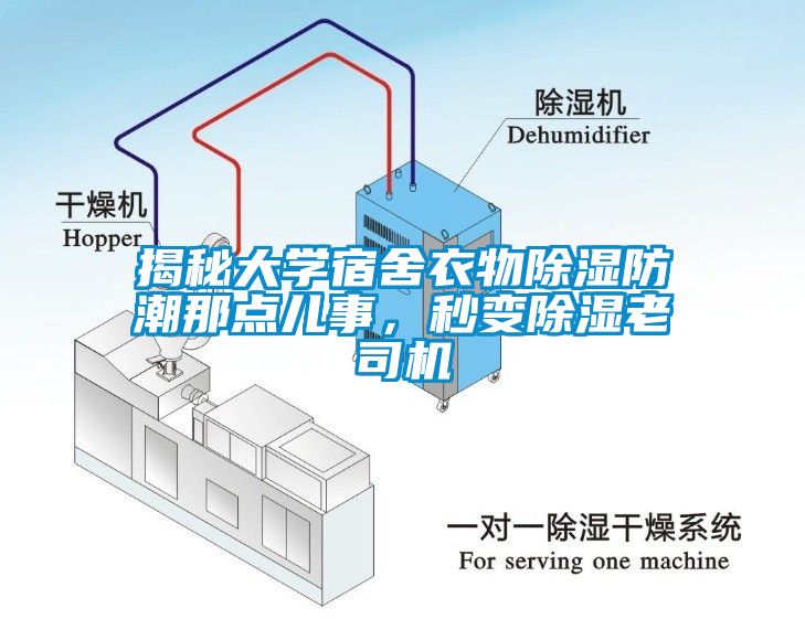 揭秘大學宿舍衣物除濕防潮那點兒事，秒變除濕老司機