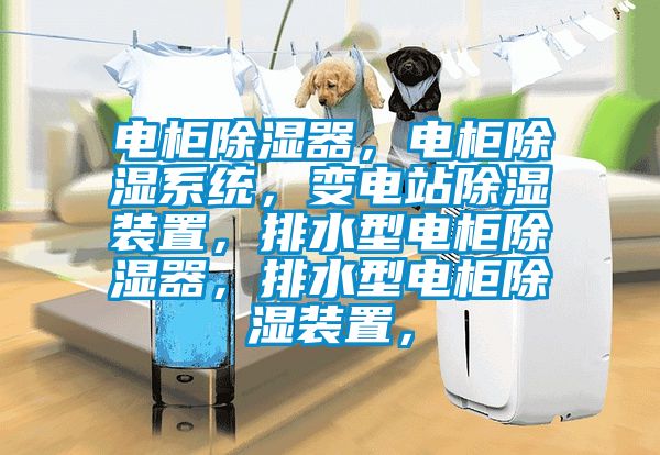 電柜除濕器，電柜除濕系統(tǒng)，變電站除濕裝置，排水型電柜除濕器，排水型電柜除濕裝置，