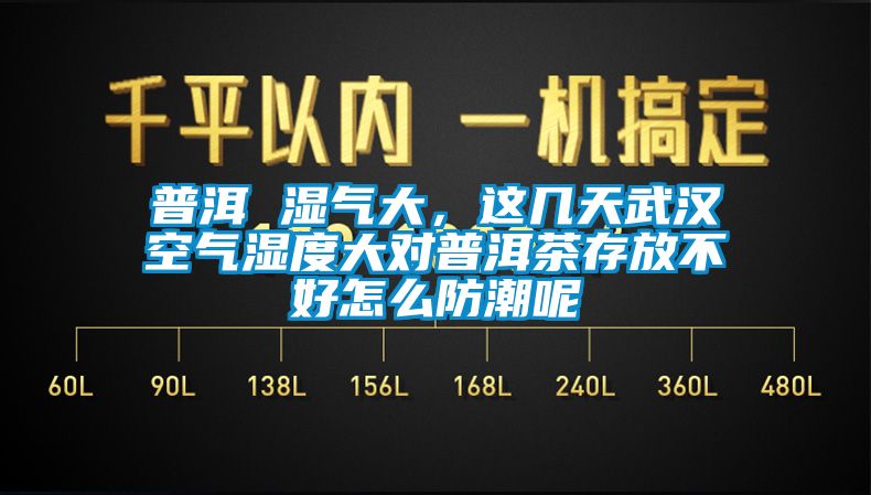 普洱 濕氣大，這幾天武漢空氣濕度大對(duì)普洱茶存放不好怎么防潮呢