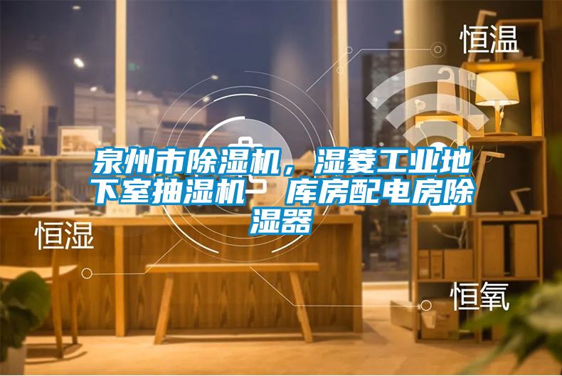 泉州市除濕機，濕菱工業(yè)地下室抽濕機  庫房配電房除濕器