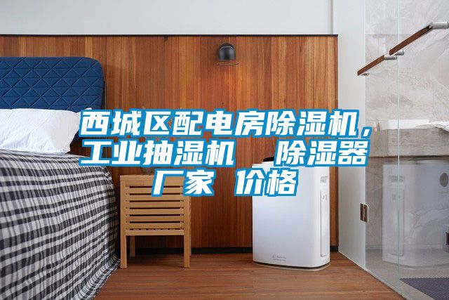 西城區配電房除濕機，工業抽濕機  除濕器廠家 價格