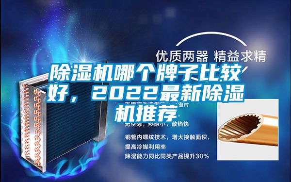 除濕機哪個牌子比較好，2022最新除濕機推薦