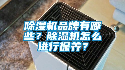 除濕機品牌有哪些？除濕機怎么進行保養？