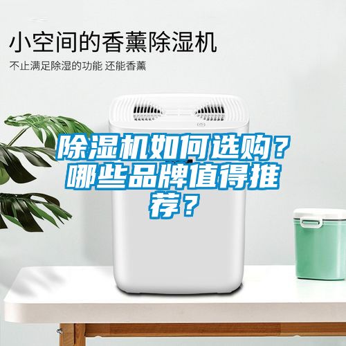 除濕機(jī)如何選購？哪些品牌值得推薦？