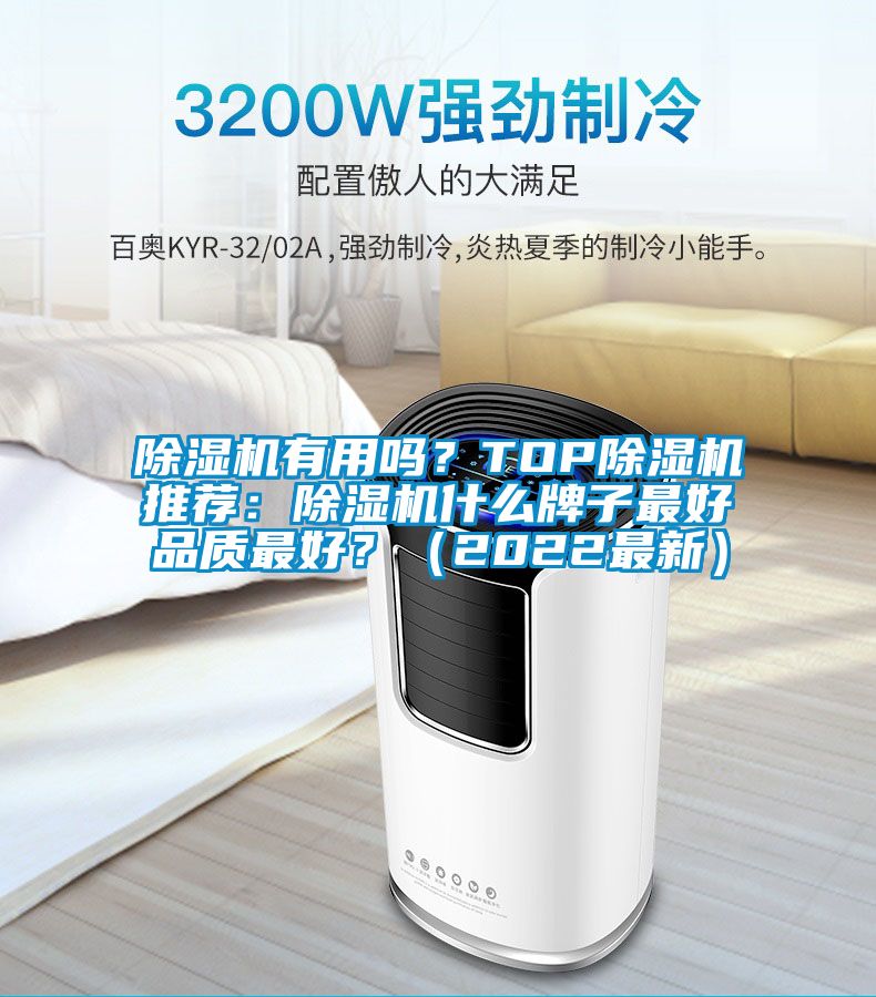 除濕機有用嗎？TOP除濕機推薦：除濕機什么牌子最好品質最好？（2022最新）