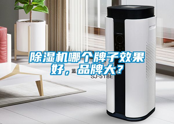 除濕機哪個牌子效果好，品牌大？