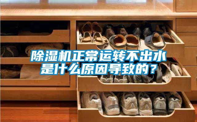 除濕機正常運轉不出水是什么原因導致的？