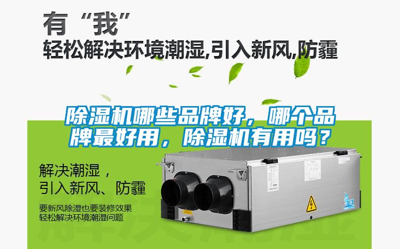 除濕機哪些品牌好，哪個品牌最好用，除濕機有用嗎？