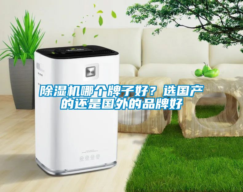 除濕機哪個牌子好？選國產的還是國外的品牌好