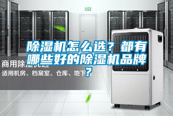 除濕機怎么選？都有哪些好的除濕機品牌？