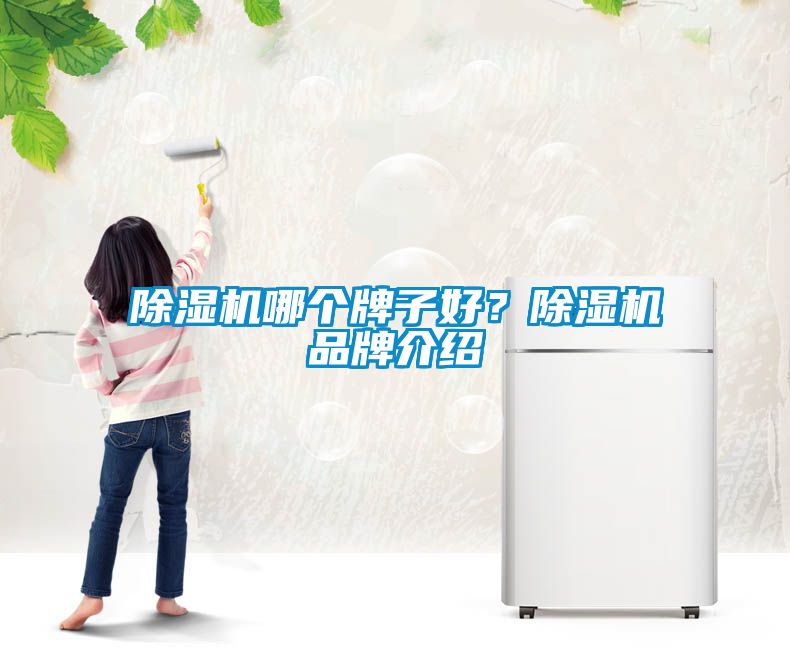 除濕機哪個牌子好？除濕機品牌介紹