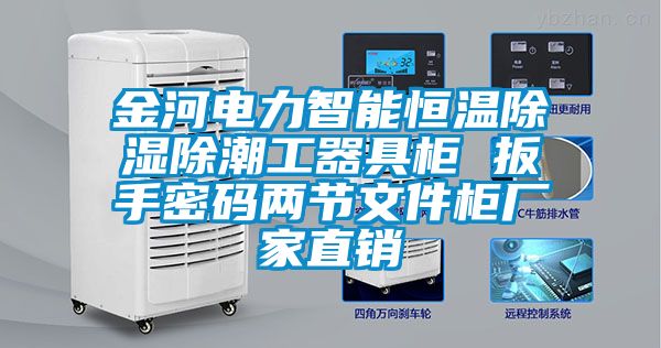 金河電力智能恒溫除濕除潮工器具柜 扳手密碼兩節(jié)文件柜廠家直銷