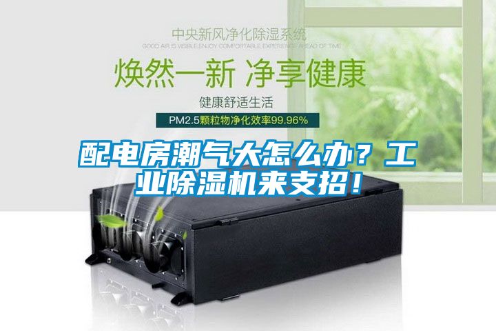 配電房潮氣大怎么辦？工業(yè)除濕機(jī)來支招！