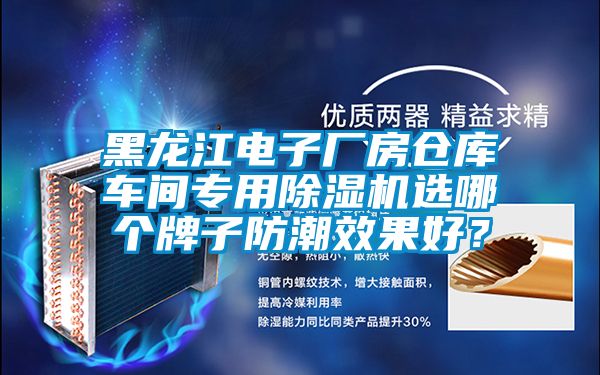 黑龍江電子廠房倉庫車間專用除濕機選哪個牌子防潮效果好？